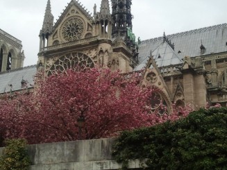 Notre Dame