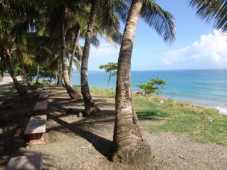 Cabarete 2008