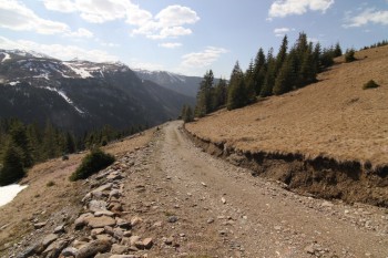 Drumetie in muntii Rodnei