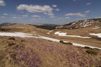 Drumetie in muntii Rodnei