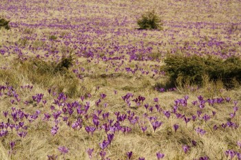 Drumetie in muntii Rodnei