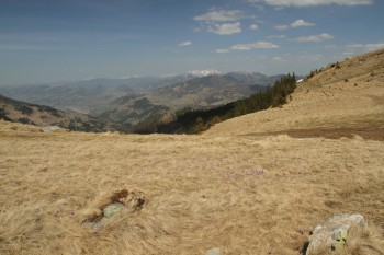 Drumetie in muntii Rodnei