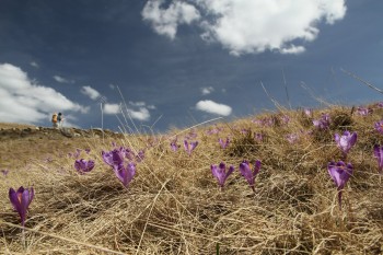 Drumetie in muntii Rodnei
