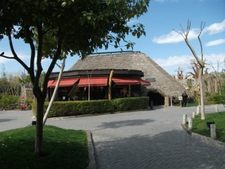 Bio Parc Valencia-magazinul de suveniruri si amfiteatrul
