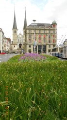 Lucerna - lacul lebedelor