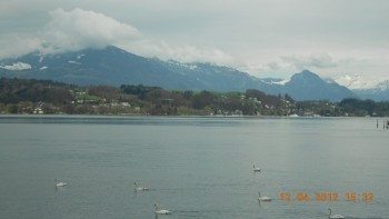 Lucerna - lacul lebedelor