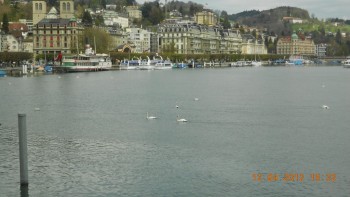 Lucerna - lacul lebedelor