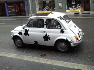 Cea mai insolita imagine