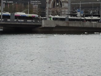 Lucerna - lacul lebedelor