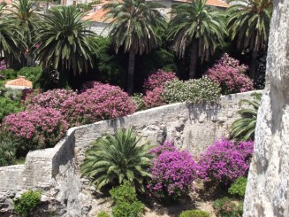 Dubrovnik - Orasul vechi