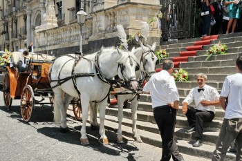Cununie la B. San Francesco d`Assini