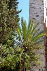 drumul spre mormantul lui Lazar de la esirea din biserica franciscana