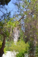 drumul spre mormantul lui Lazar de la esirea din biserica franciscana