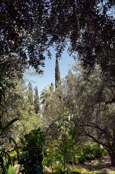 drumul spre mormantul lui Lazar de la esirea din biserica franciscana