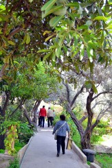 drumul spre mormantul lui Lazar de la esirea din biserica franciscana