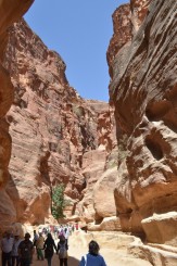 Aman Petra Aman