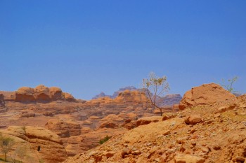 vedere generala oras Petra