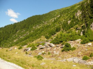 Aventuri de weekend - Transfagarasanu