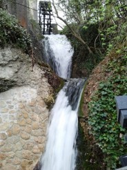 Cascada Rinului - un spectacol natural
