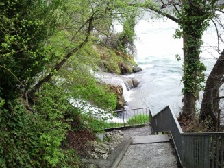 Cascada Rinului - un spectacol natural
