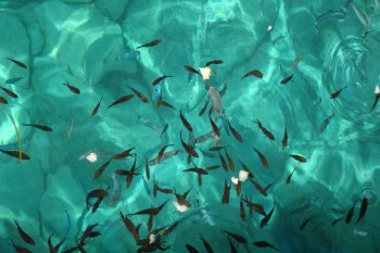 O insula superba in Marea Ionica