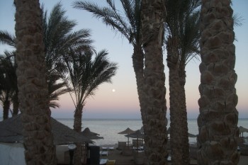 Marsa Alam 2012