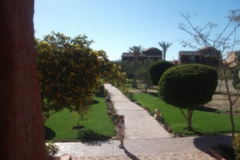Marsa Alam 2012