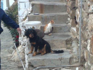 Bozcaada, Turcia 2009