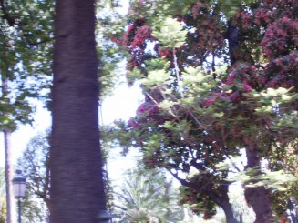 In drum spre Monte Carlo