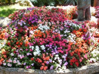 Gradina Saint Martin