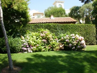 gradina Saint Martin