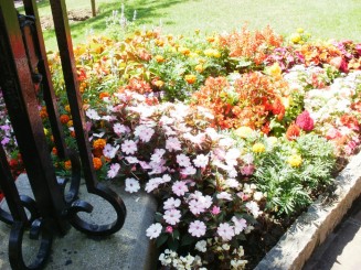 Gradina Saint Martin