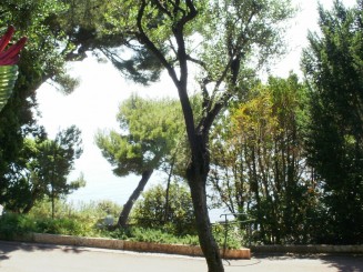 Gradina Saint Martin