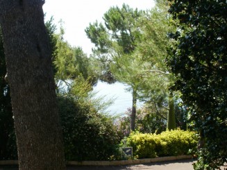 Gradina  Saint Martin