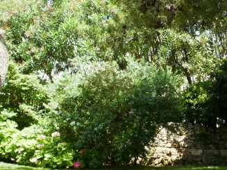 Gradina Saint Martin