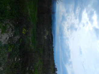 Sat Arbanassi si Veliko Tarnovo