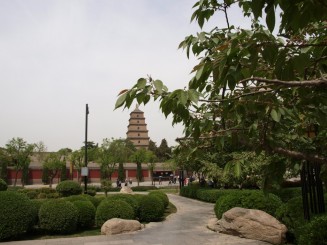 Marea Pagoda a Gastei Salbatice