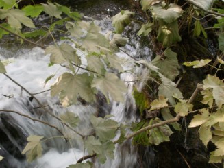 mica cascada la Plitvice