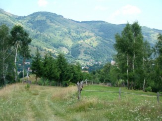 Zona Moeciu-Bran