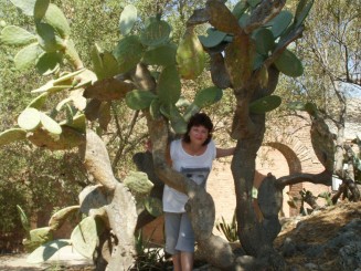 pe platoul Taorminei, printre cactusi