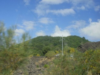 lava si vegetatie la baza Etnei