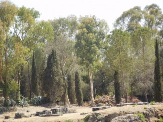 Amfiteatrul roman din Siracusa