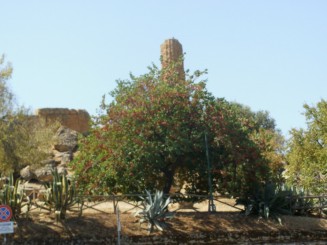 Agrigento-sit arheologic