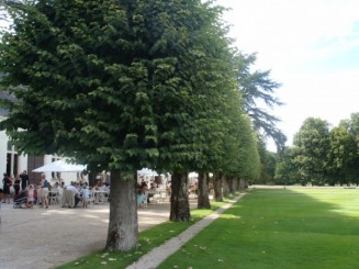 Castelele de pe Valea Loarei ...unde istoria ramane in picioare si arta e la ea acasa