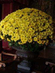 Castelele de pe Valea Loarei ...unde istoria ramane in picioare si arta e la ea acasa