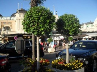 Monaco-Monte Carlo