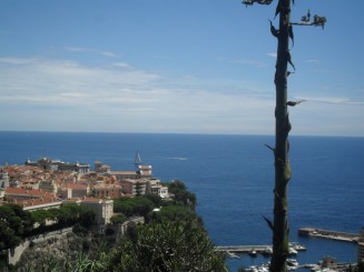 Monaco-Monte Carlo