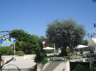 Cap Ferrat-le sentier litoral