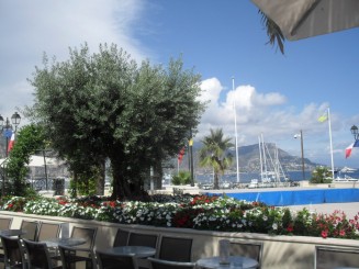 Cap Ferrat-le sentier litoral