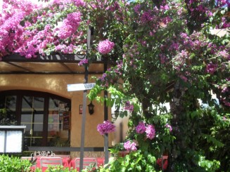 Cap Ferrat-le sentier litoral